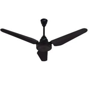 Ceiling fan