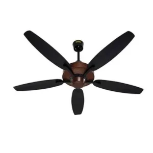 Ceiling fan